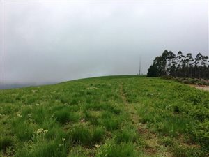 423 ha Farm in Byrne Valley