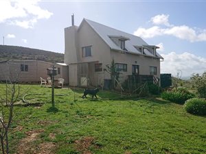 4.7 ha Farm in Tesselaarsdal