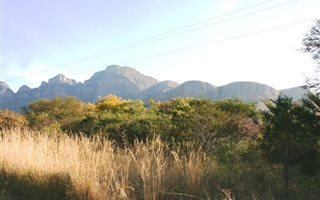 2500 m² Land available in Escarpia