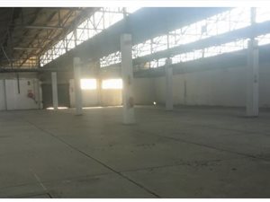 1341 m² Industrial space in Riverlea