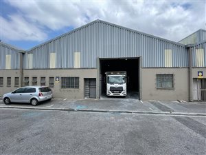 517 m² Industrial space in Triangle Farm