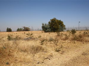 2444 m² Land available in Mooikloof Equestrian Estate