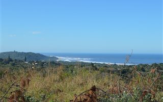 1579 m² Land available in Palm Beach