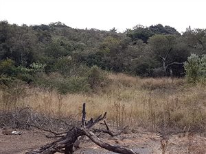 7.8 ha Land available in Ashburton