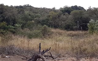 7.8 ha Land available in Ashburton