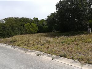 1200 m² Land available in Seaview