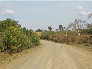 135 ha Farm in Umzumbe