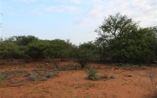 4500 m² Land available in Blyde Wildlife Estate