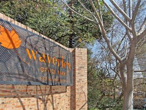 175 m² Commercial space in Melrose