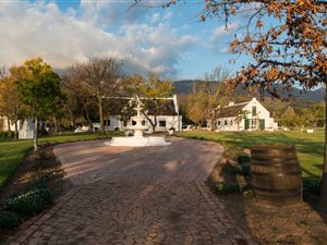 20 ha Farm in Northern Paarl