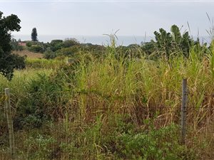 1195 m² Land available in Port Edward