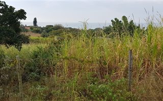 1195 m² Land available in Port Edward
