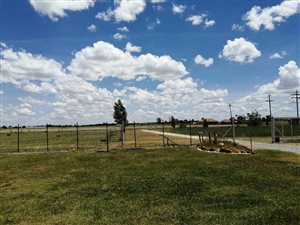 8 ha Farm in Wilgeboom AH