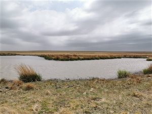 269 ha Farm in Heilbron