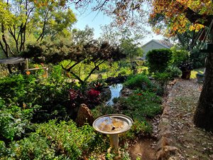 8.5 ha Farm in Muldersdrift