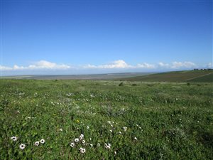 791 m² Land available in Vredenburg