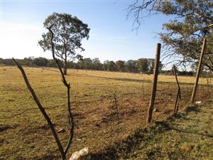 2 ha Land available in Ophir AH