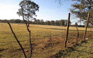 2 ha Land available in Ophir AH