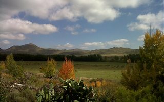 397 ha Farm in Middelburg