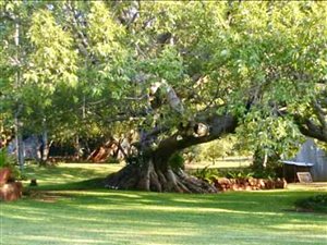 67 ha Farm in Waterval Boven