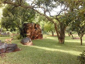 67 ha Farm in Waterval Boven