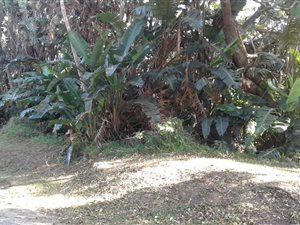 1628 m² Land available in Trafalgar