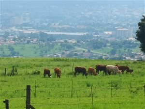 6.2 ha Farm in Bishopstowe