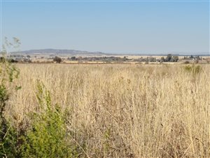 1153 m² Land available in Baillie Park