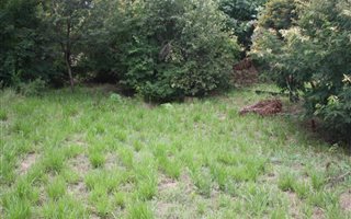 1026 m² Land available in Drum Rock