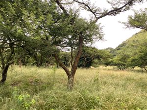 31.4 ha Land available in Hilton