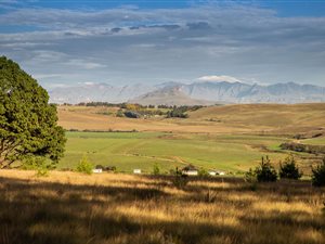 16 ha Smallholding in Underberg
