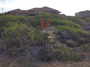 698 m² Land available in Boggoms Bay