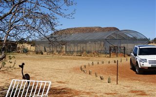 8 m² Land available in Bloemdal
