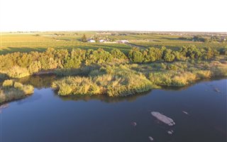 22 ha Farm with House in Kanoneiland
