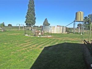 1622 ha Farm in Boshof