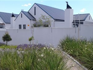 3 Bed House in Aan de Wijnlanden