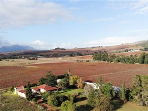 38.2 ha Farm in Stellenbosch Agricultural