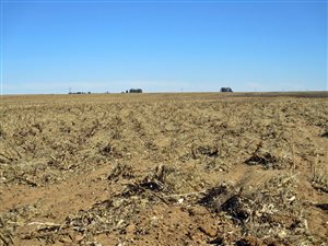 550 ha Farm in Odendaalsrus