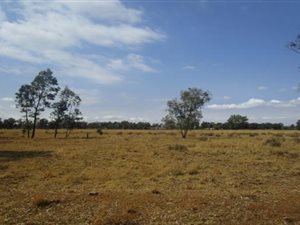 2 ha Land available in Valley Settlements AH