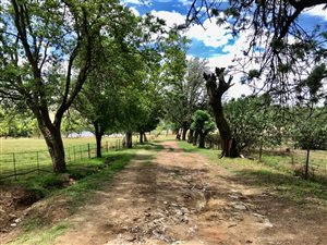 7.1 ha Farm in Ruimsig AH