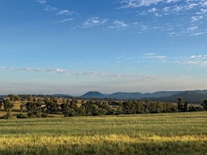 1320 m² Land available in Laezonia