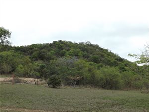 1 ha Farm in Nelspruit