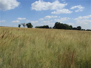 1.7 ha Farm in Eldorado Park