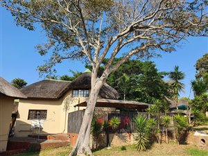 3 Bed Townhouse in Woodgrange