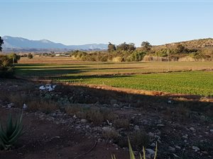 1165 m² Land available in Oudtshoorn