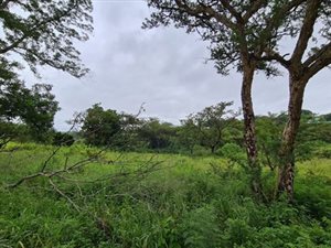 10 m² Land available in White River AH