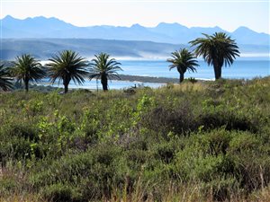 812 m² Land available in Plettenberg Bay