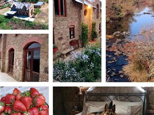 20 ha Farm in Mooi River