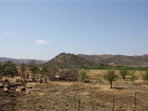 16 ha Farm in Roossenekal