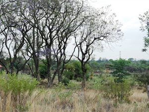 8 ha Farm in Grootvlei